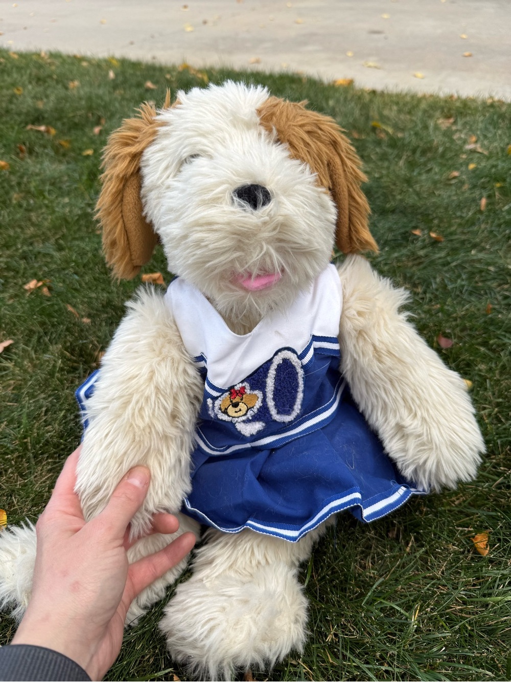 Build a bear cheerleader dog
